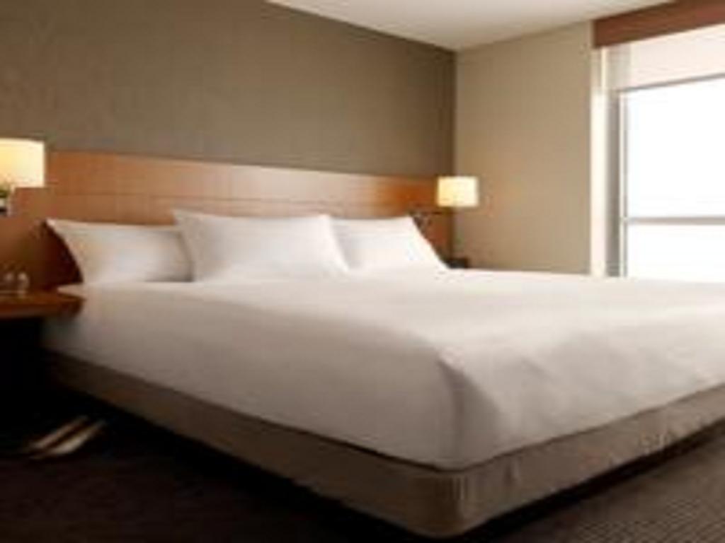 Chambre Lit King-Size pour Personnes à Mobilité Réduite avec Canapé-Lit et Baignoire Adaptée