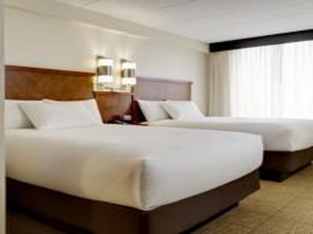 Chambre avec 2 Lits Doubles et Canapé-Lit