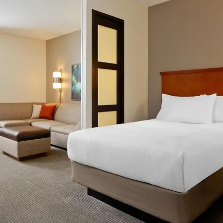 Hyatt Place Atlanta Buckhead-3