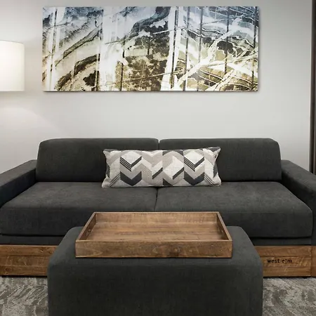Springhill Suites By Marriott Atlanta Perimeter Center-3
