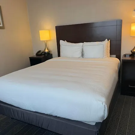 The Brookhaven Atlanta Hotel-3